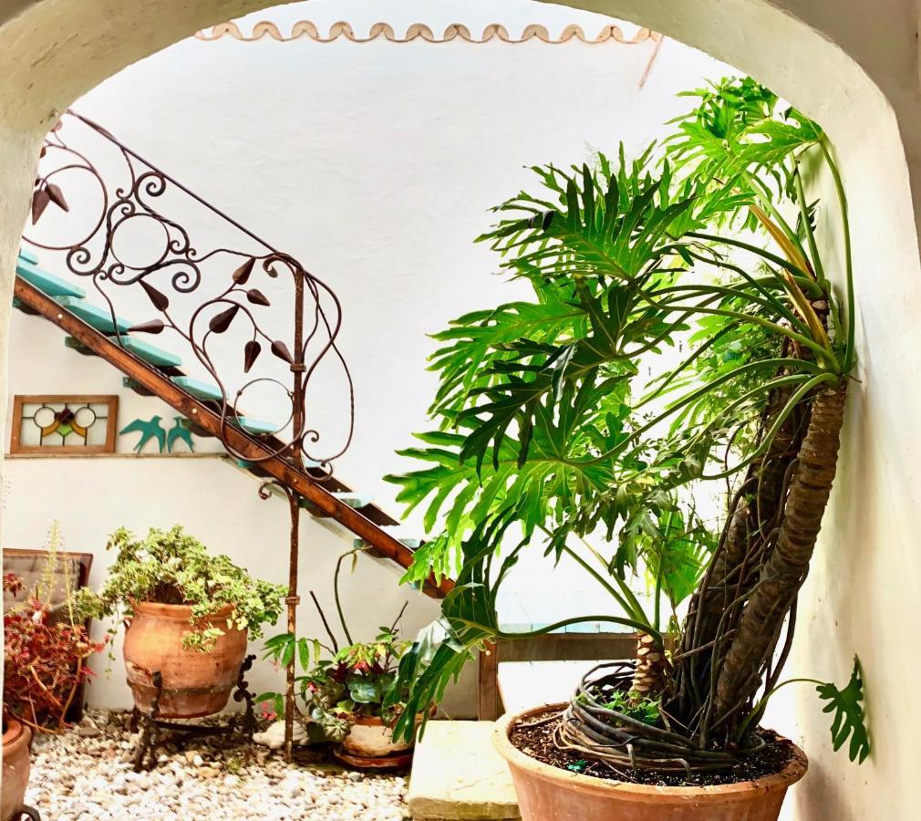 Willa Casa Del Teatro Luxury Casas Vejer Debra Vejer de la Frontera Zewnętrze zdjęcie