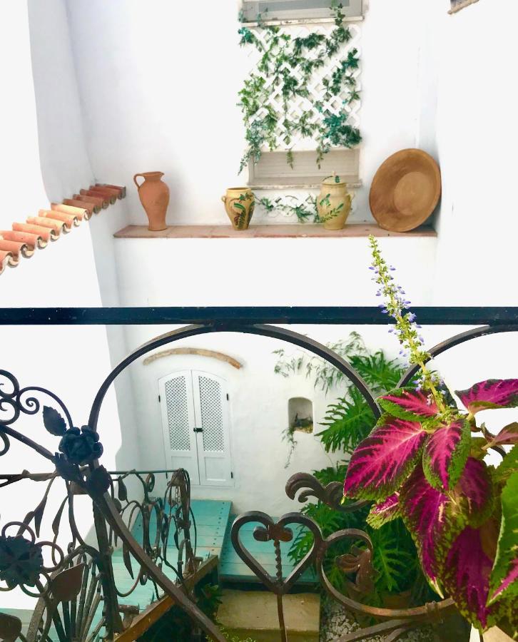 Willa Casa Del Teatro Luxury Casas Vejer Debra Vejer de la Frontera Zewnętrze zdjęcie